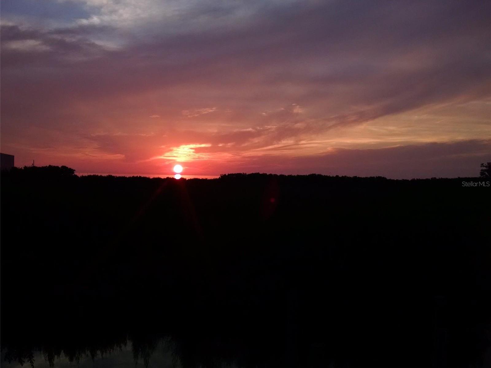 Photo #56