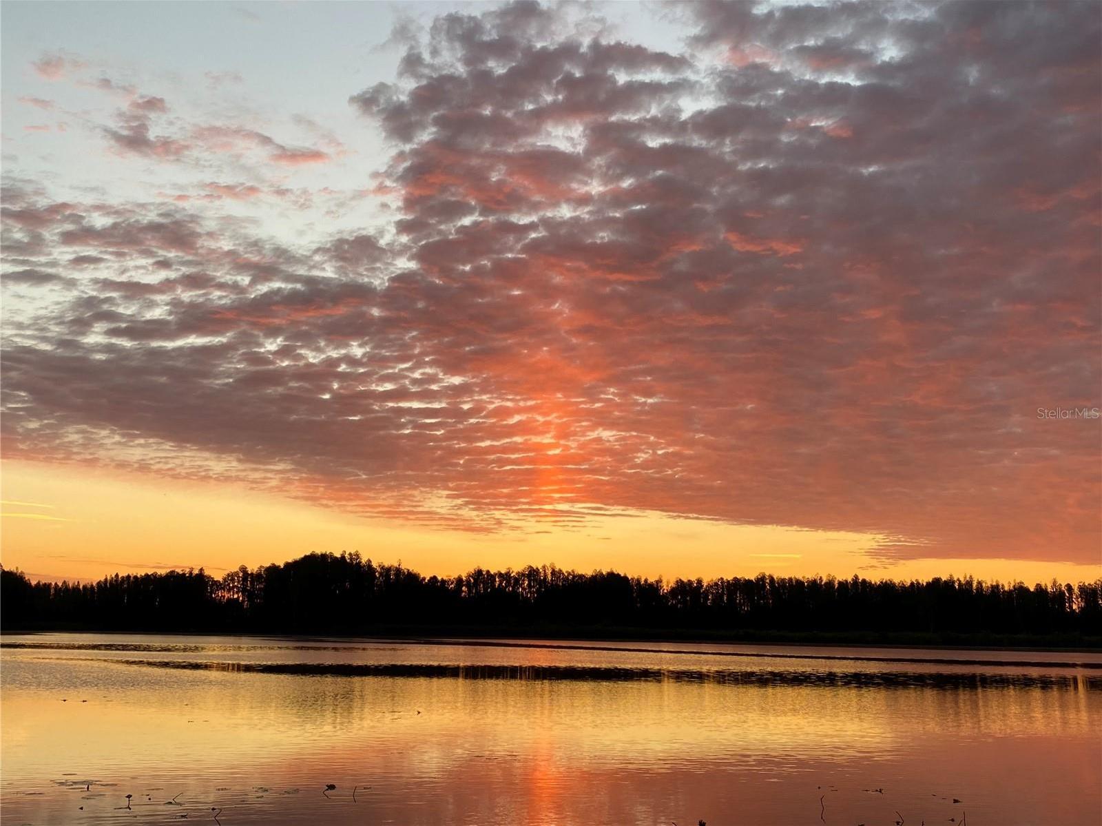Photo #68
