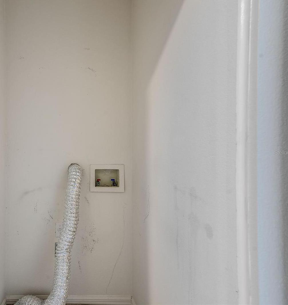 Photo #26