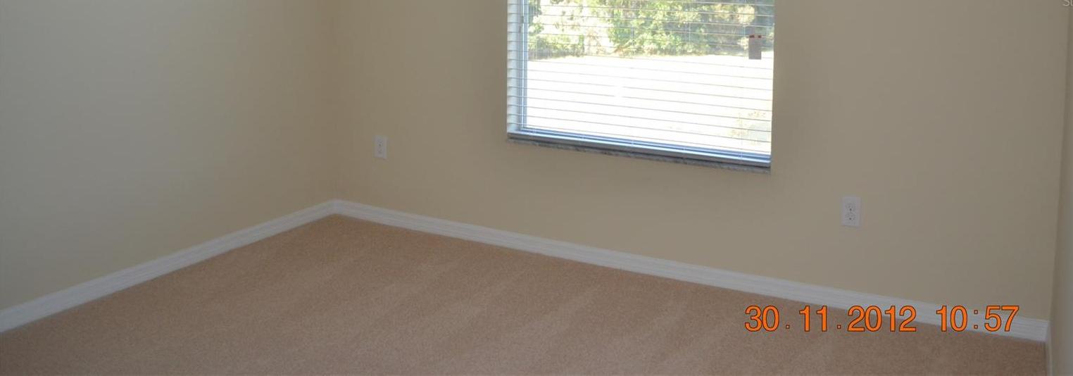 Photo #8