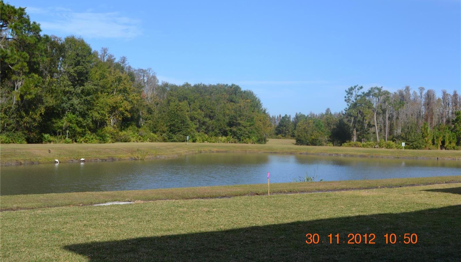Photo #3