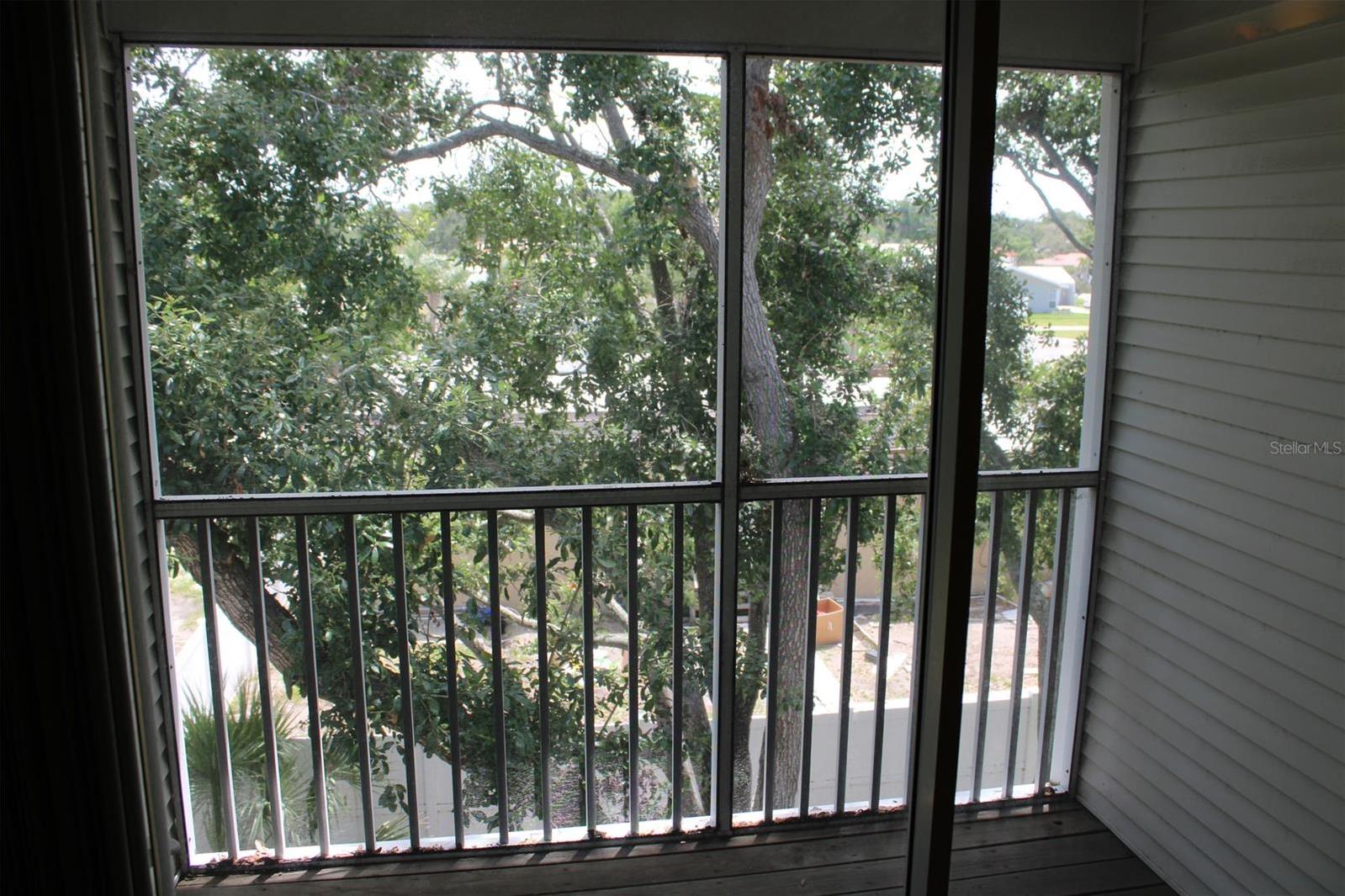 Photo #31