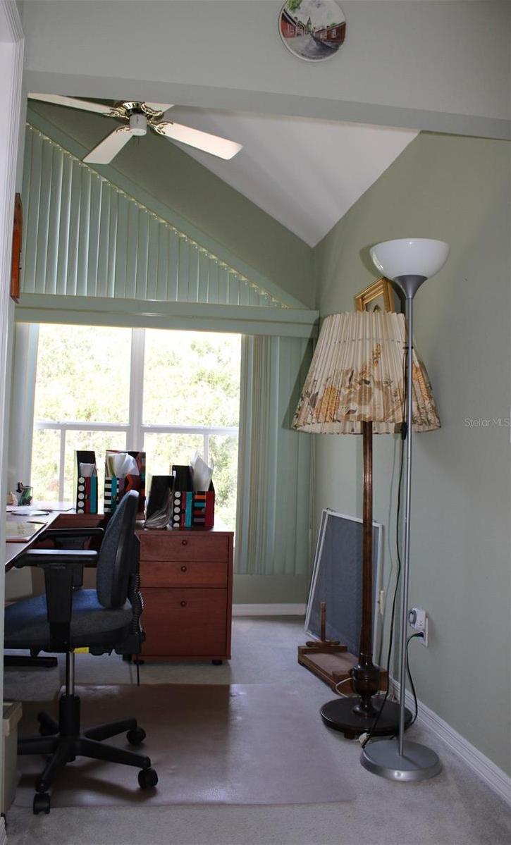 Photo #24