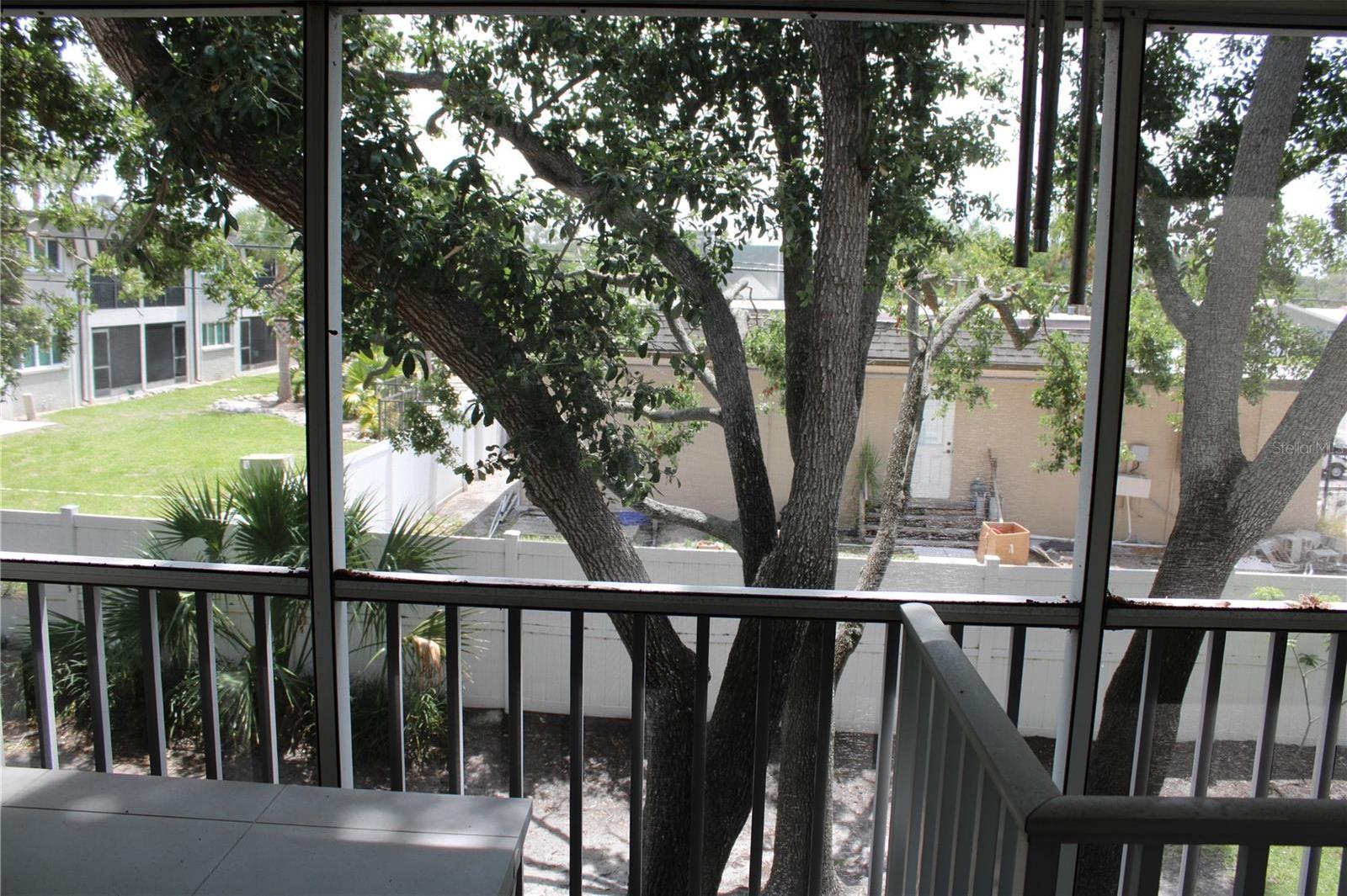 Photo #45