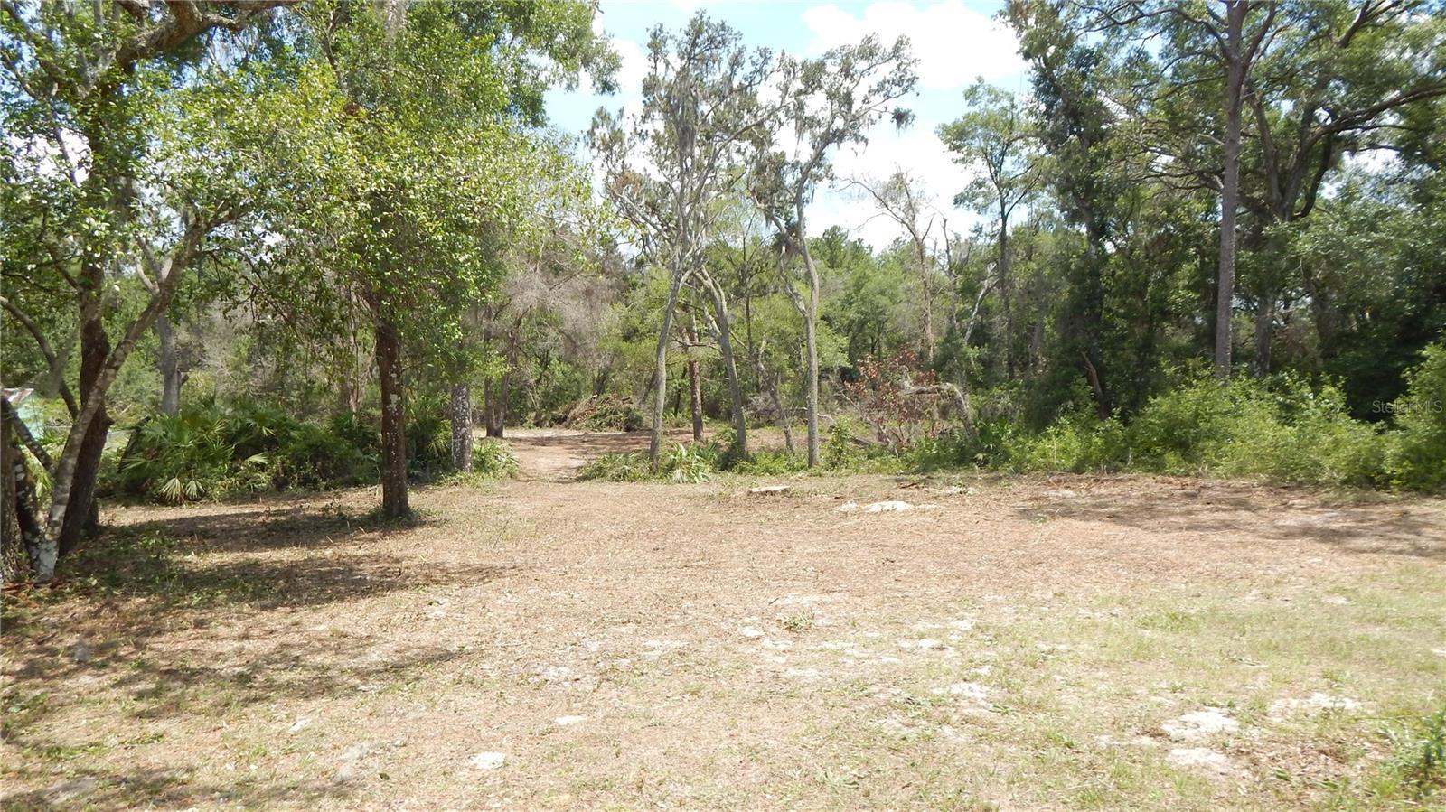 Photo #9