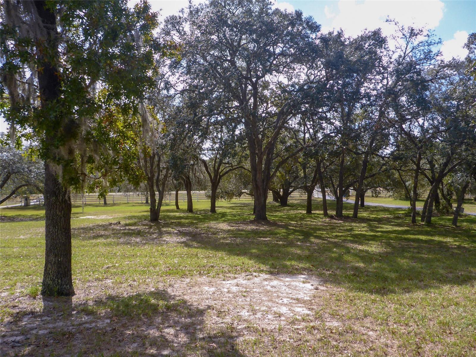 Photo #34