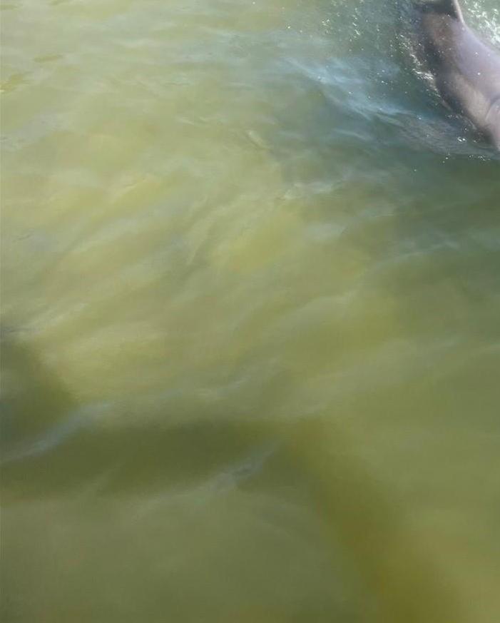 Photo #5
