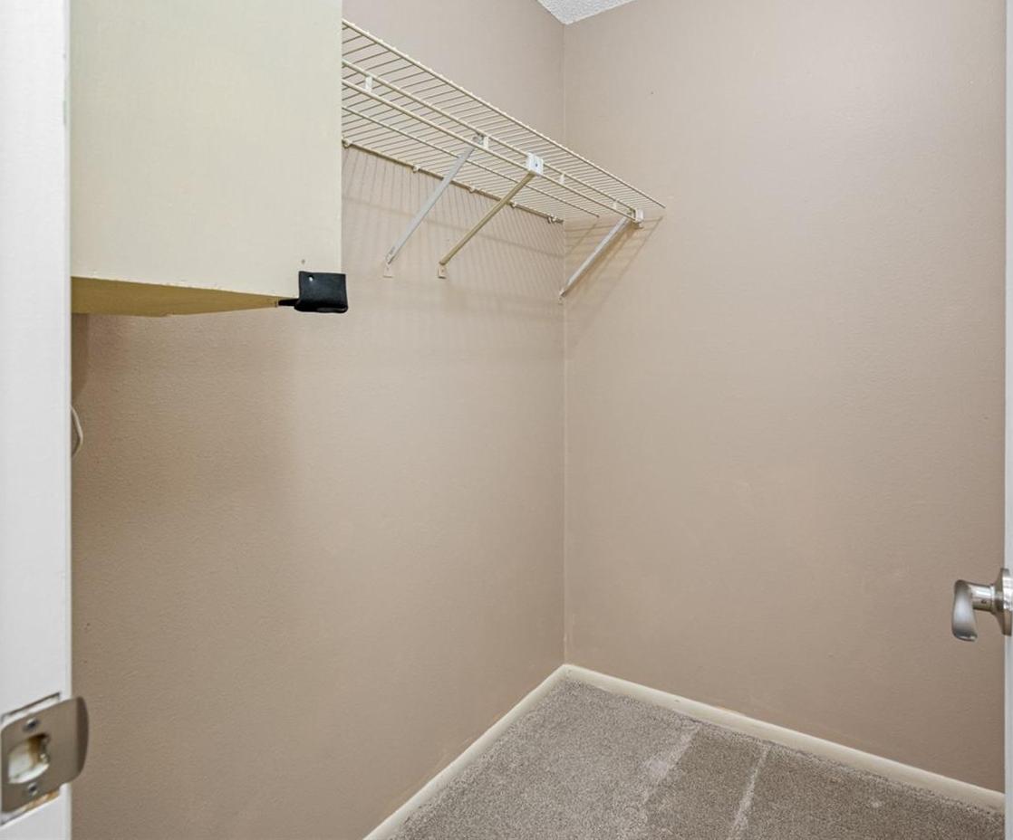 Photo #41