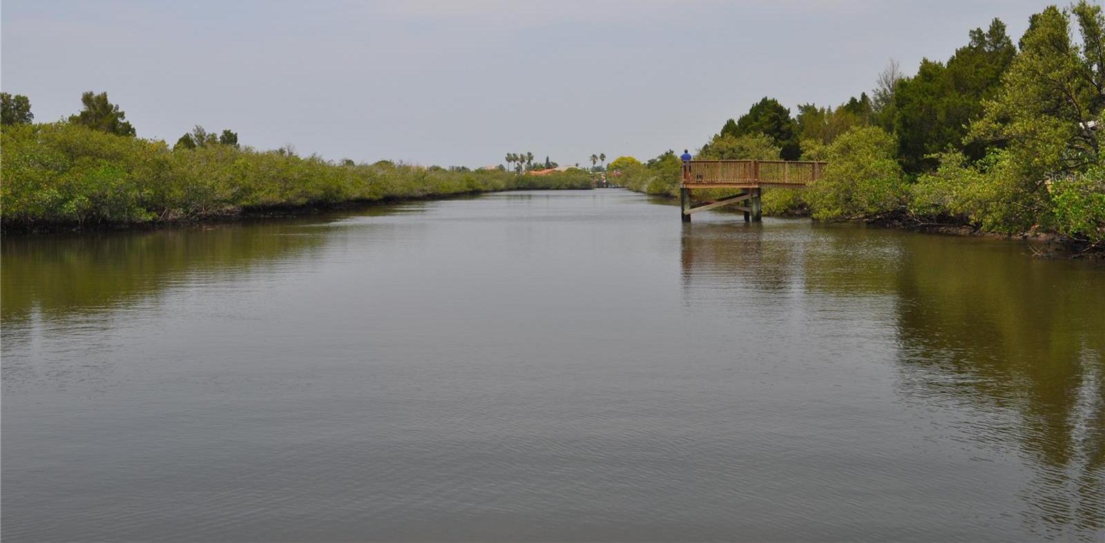 Photo #54