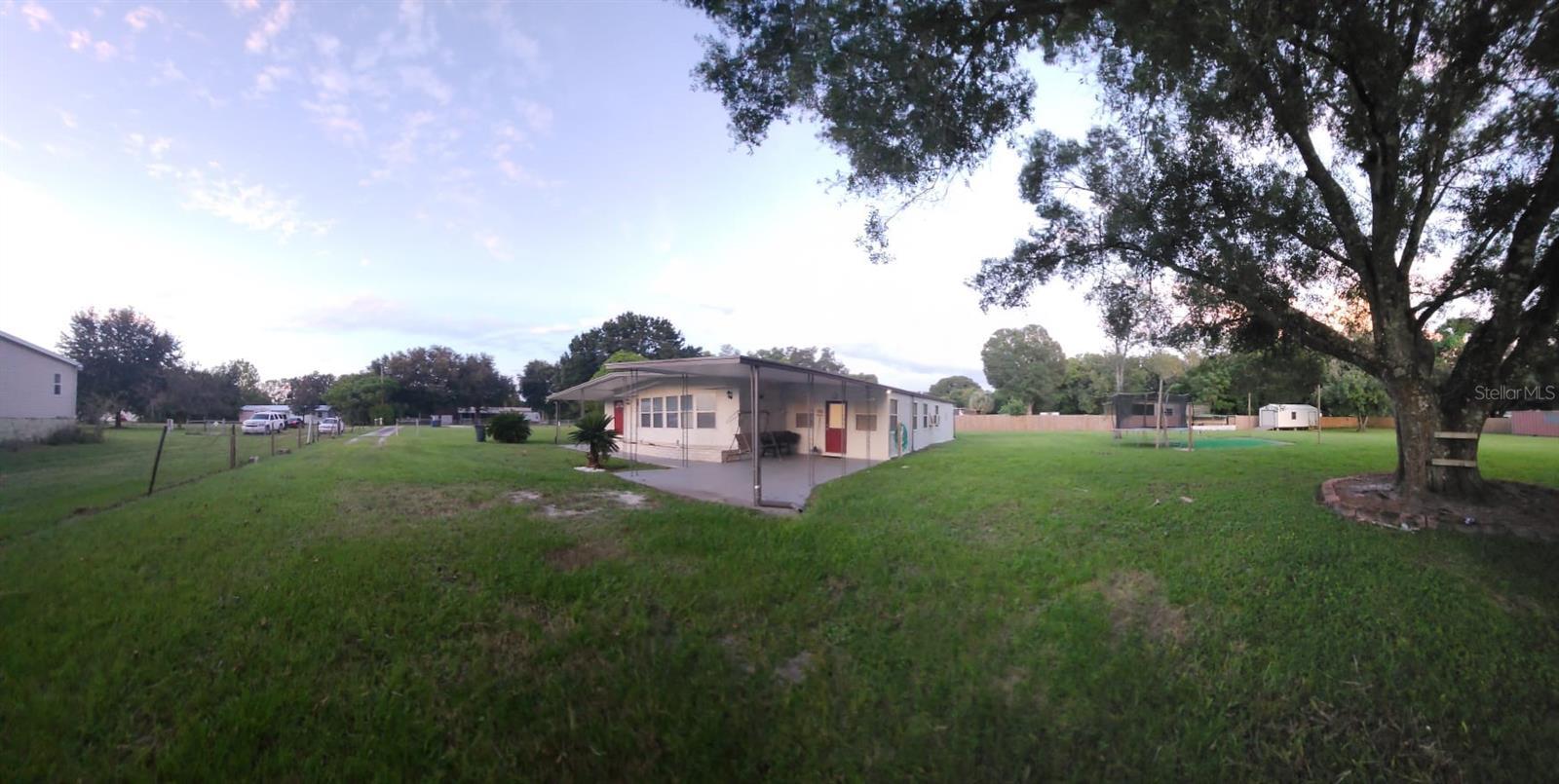 Photo #41