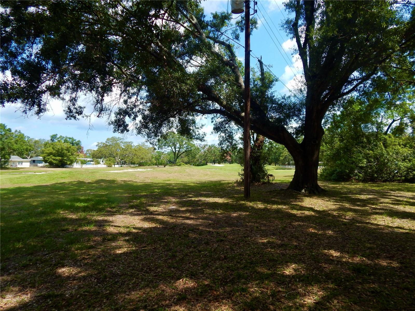 Photo #16