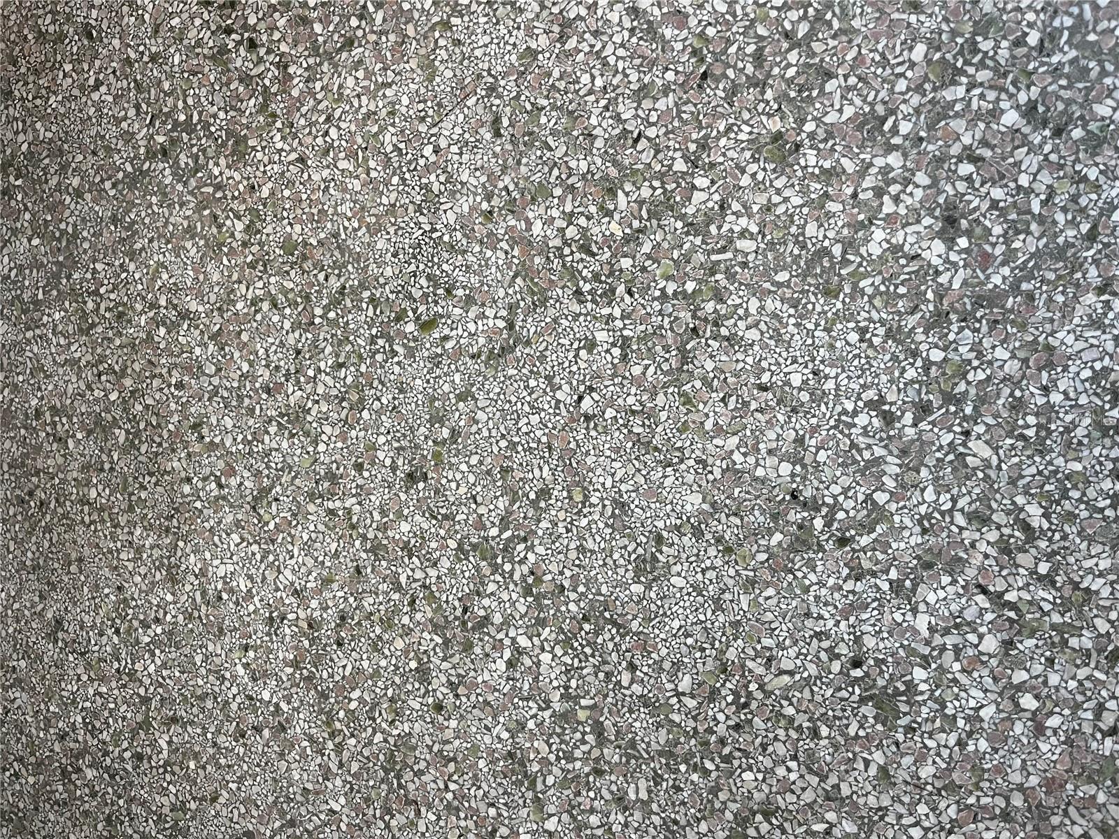 Photo #69