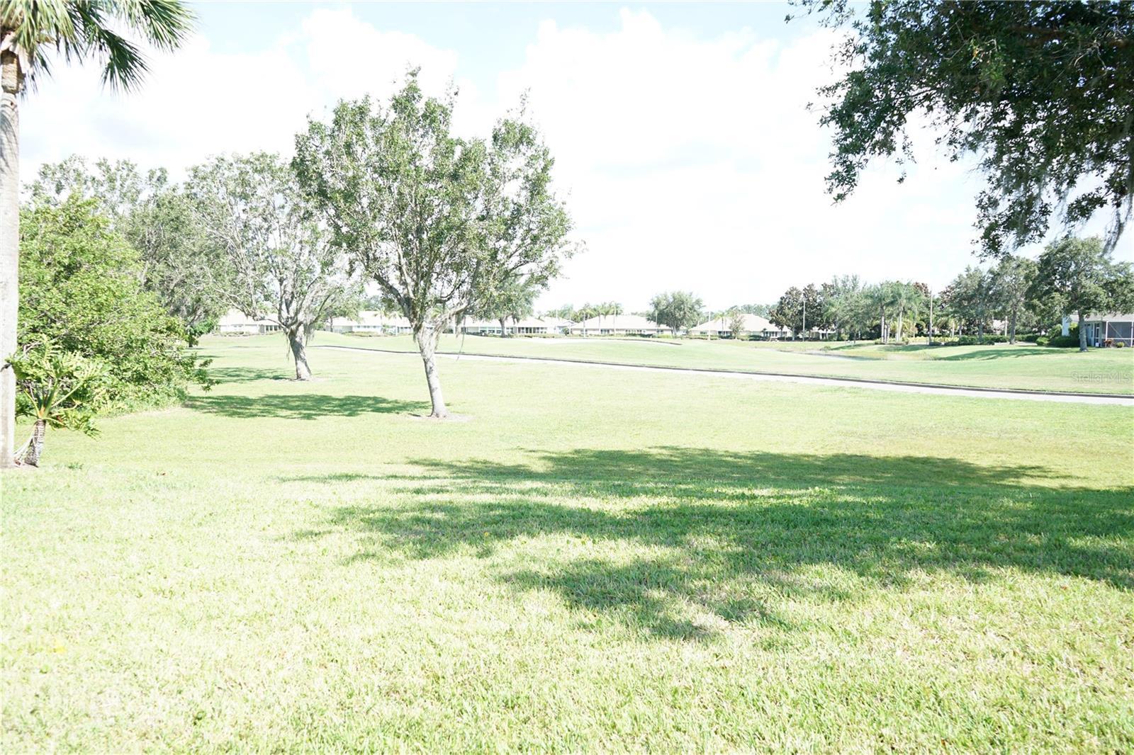 Photo #36
