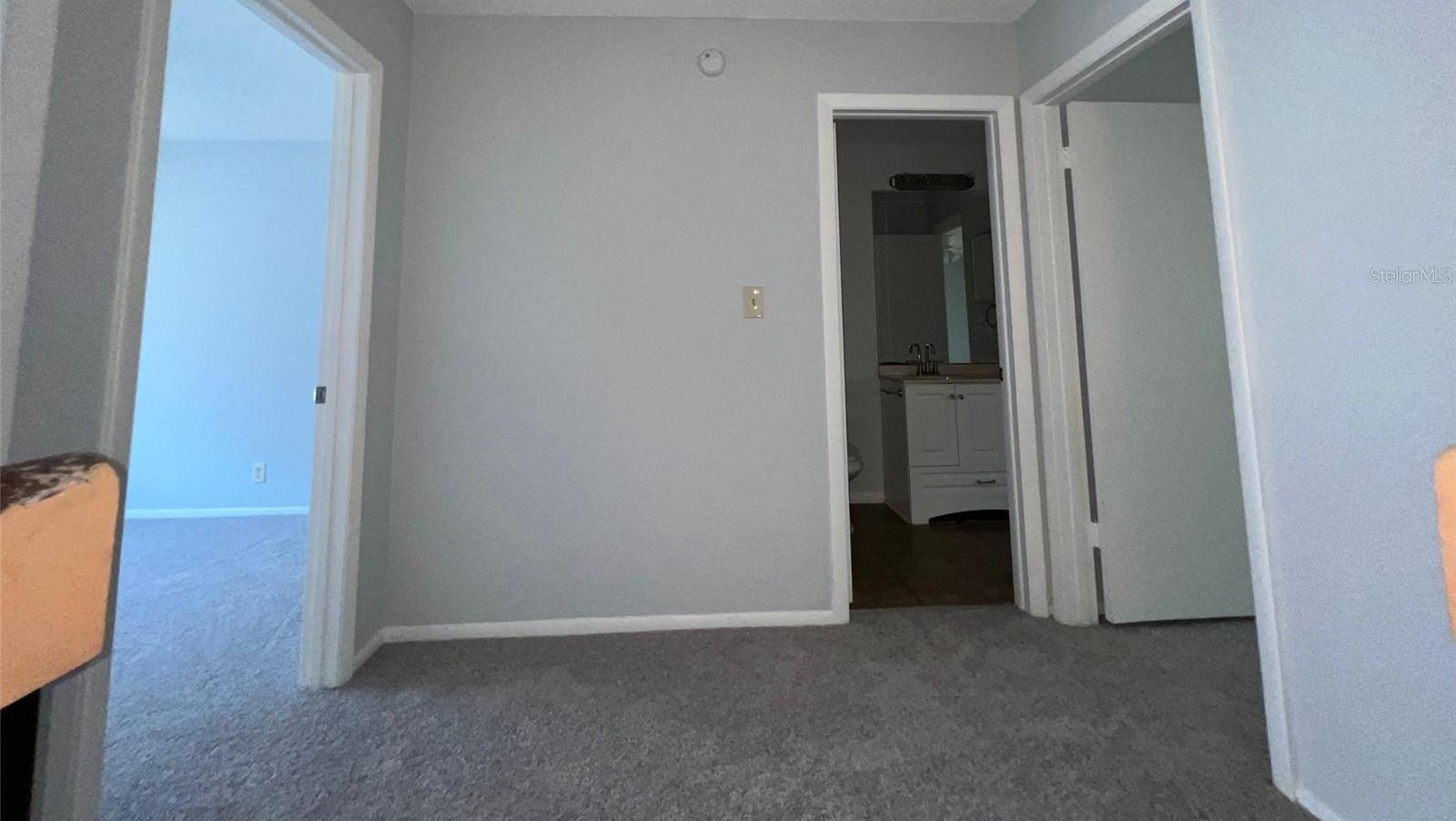 Photo #11