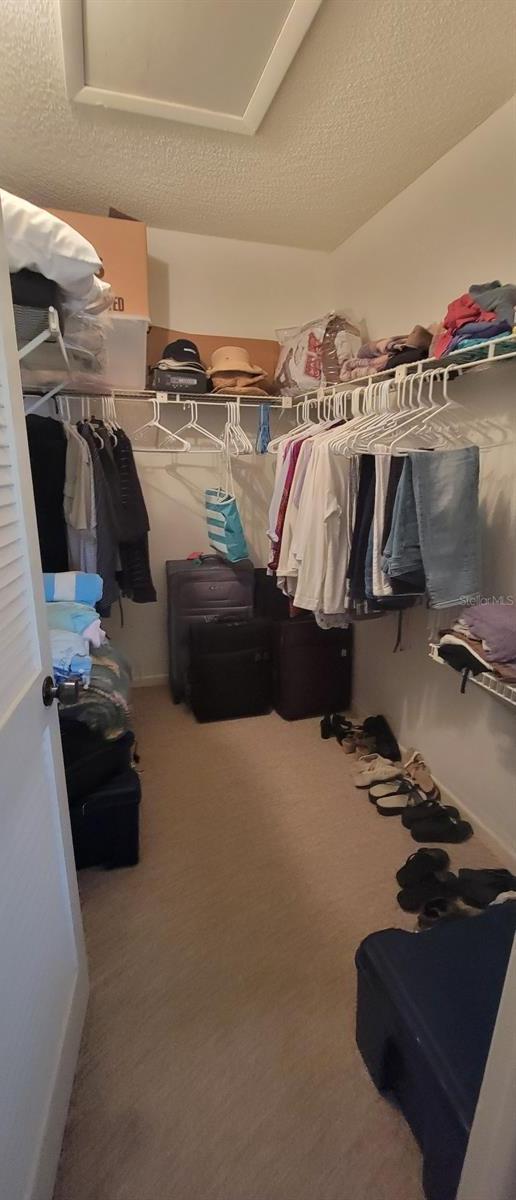 Photo #14