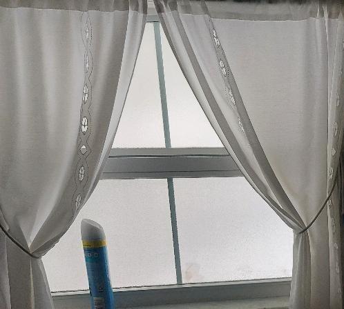 Photo #14