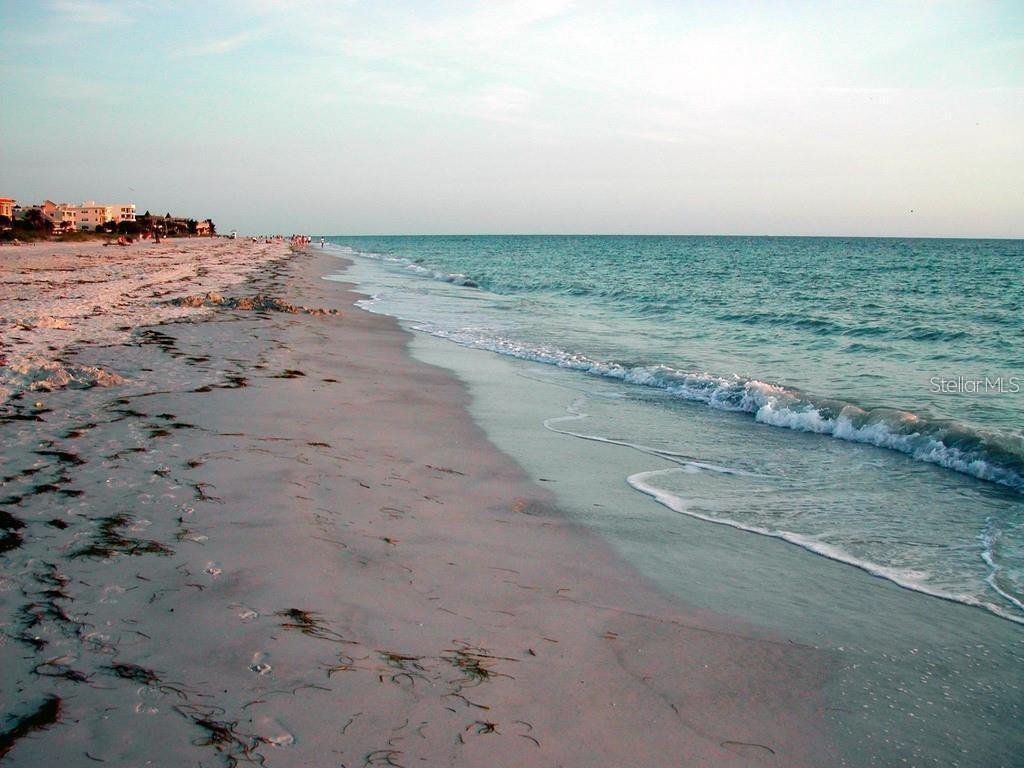 Photo #29