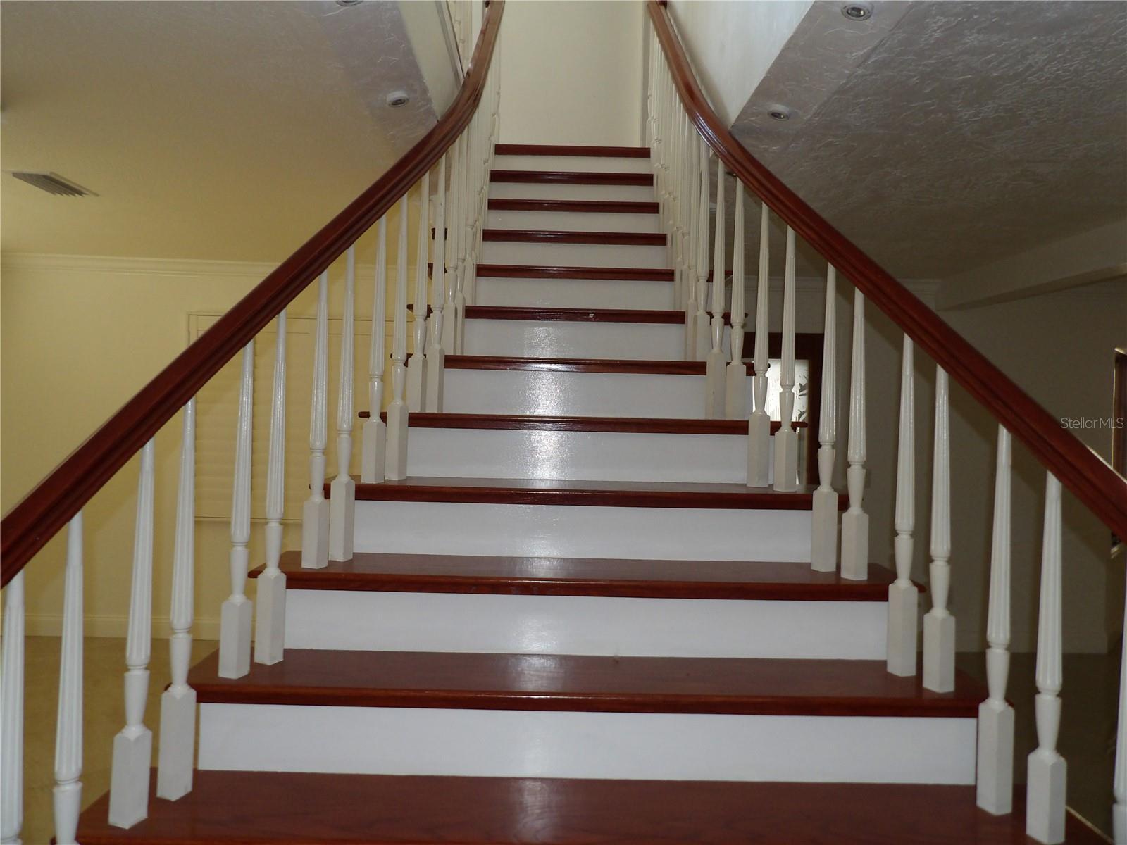 Photo #26