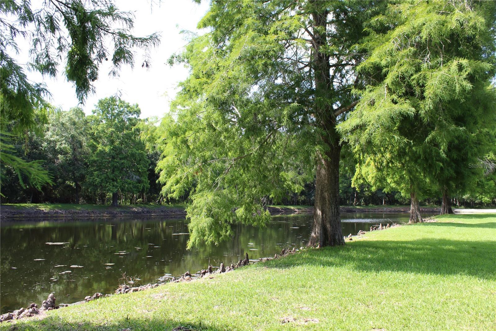 Photo #64