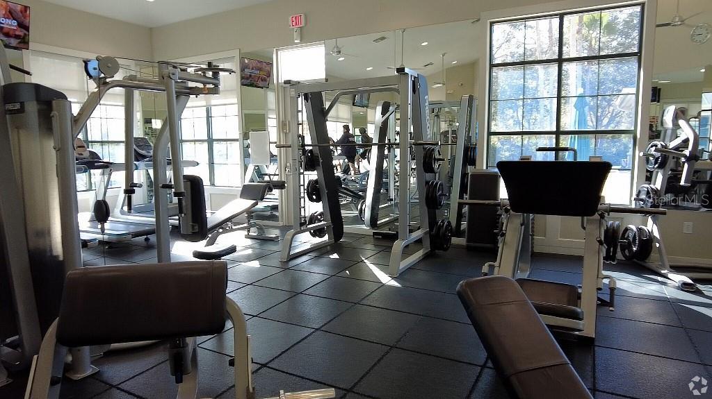 Photo #49
