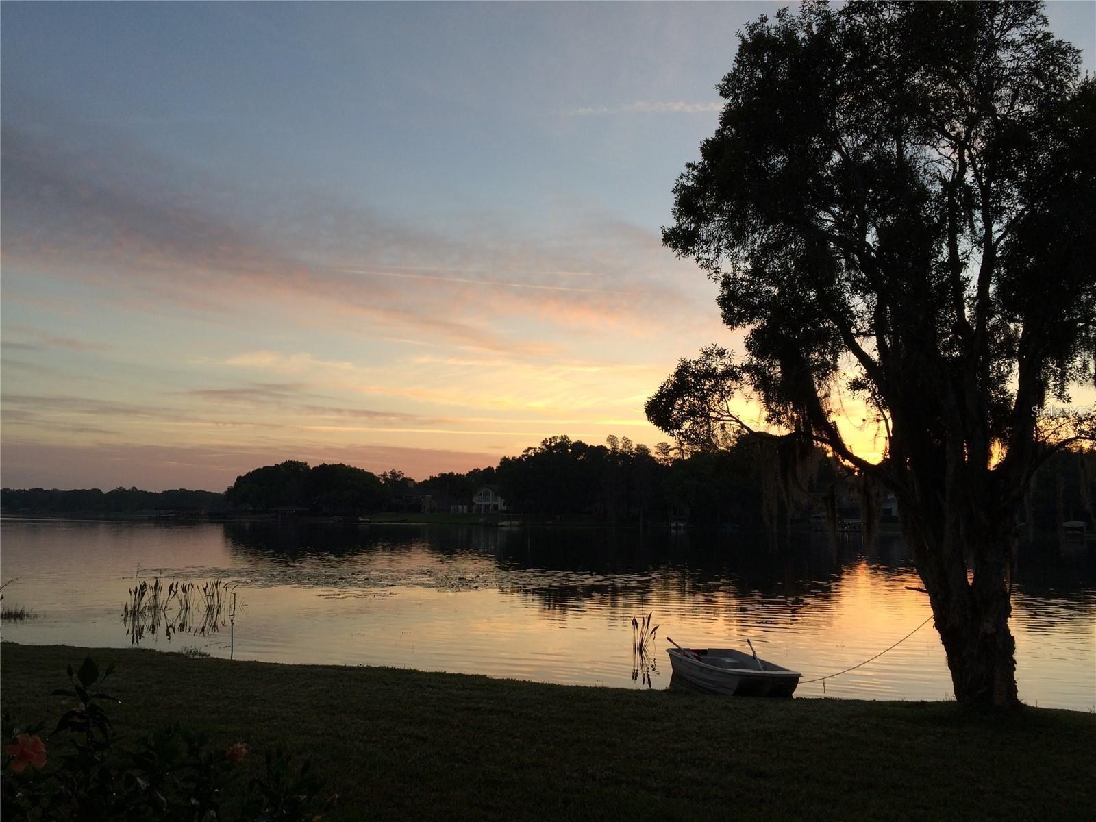 Photo #35