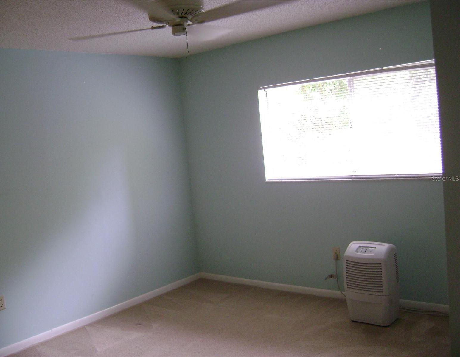 Photo #14