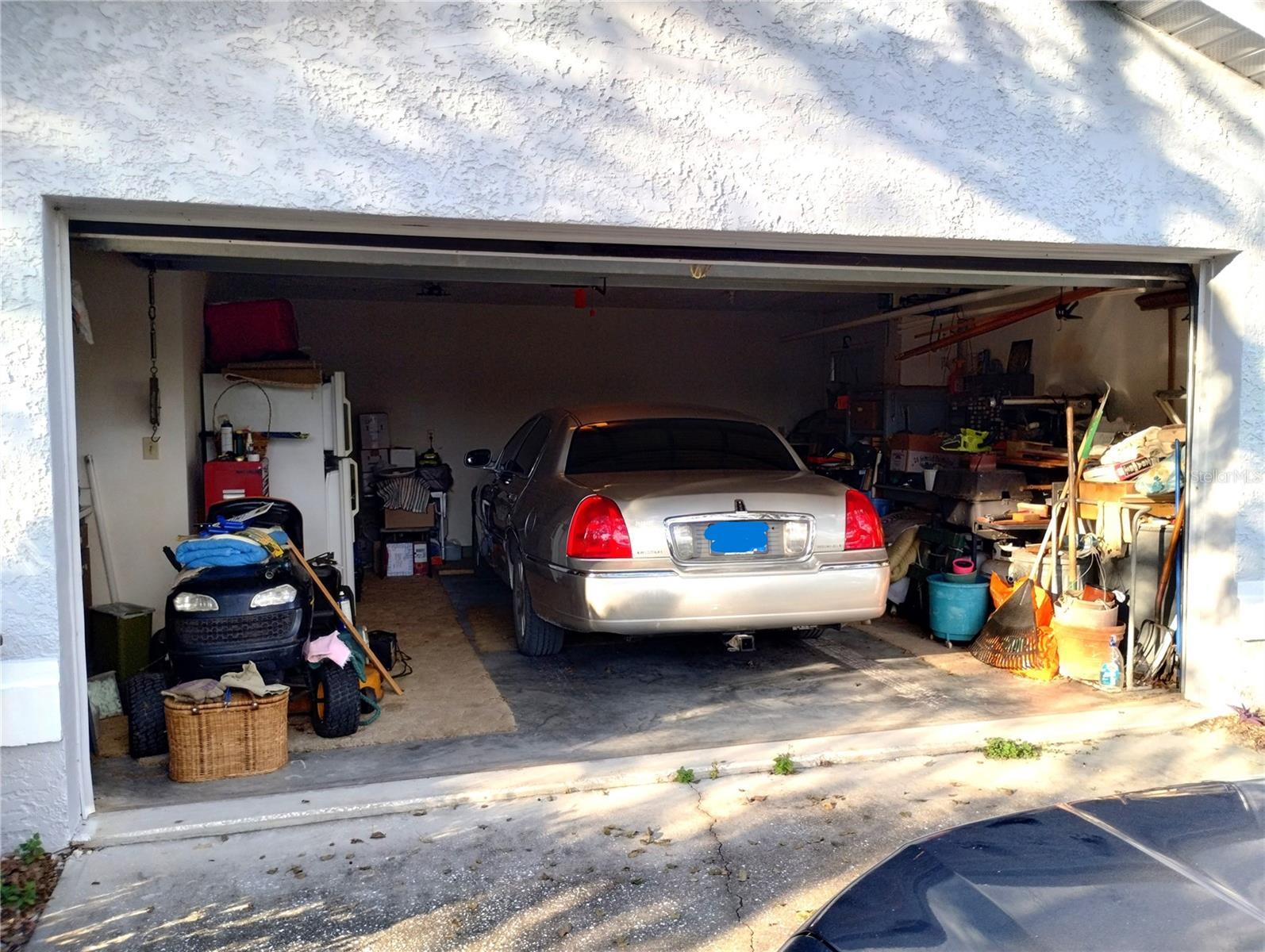 Photo #20