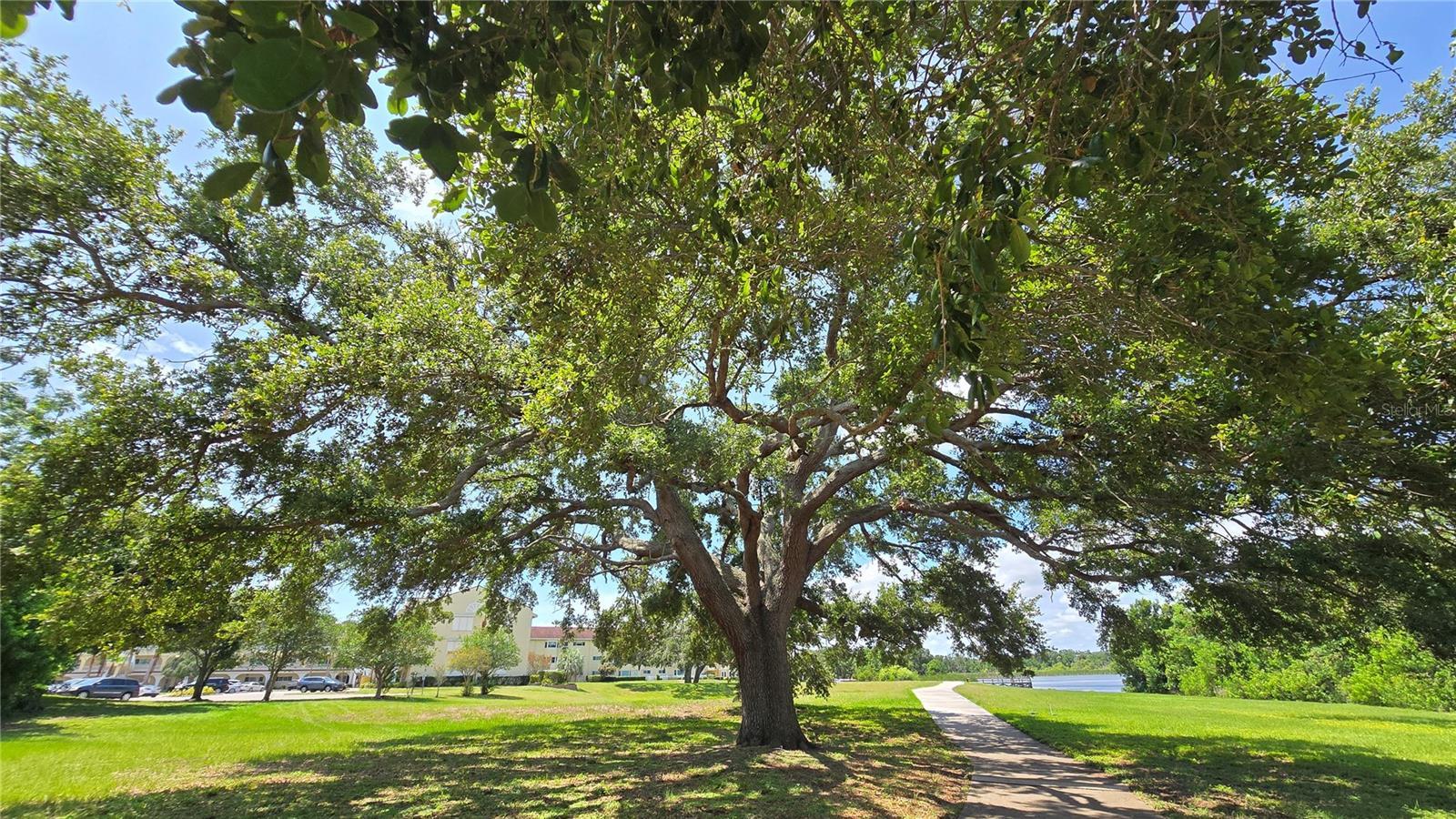 Photo #46