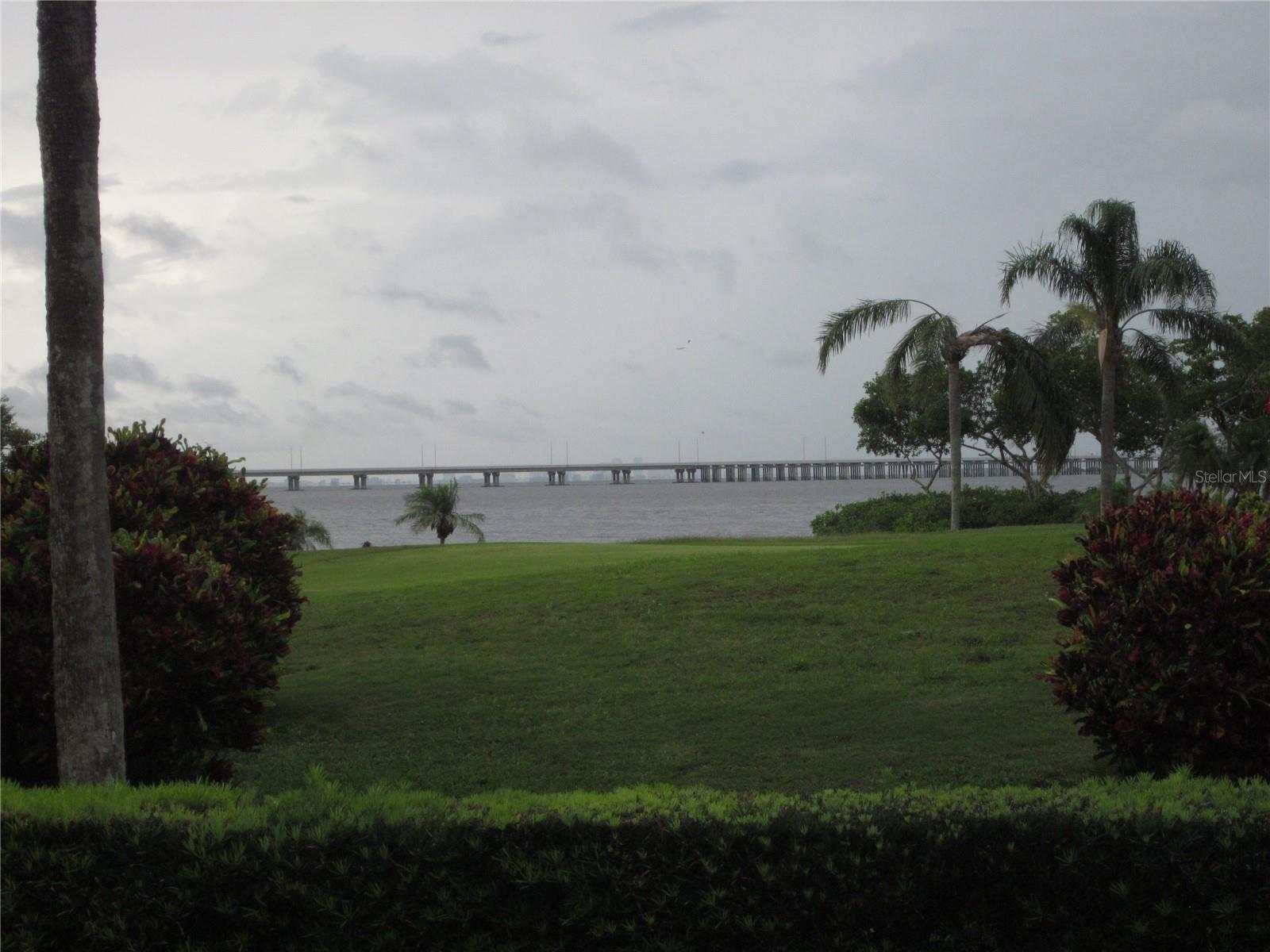 Photo #12