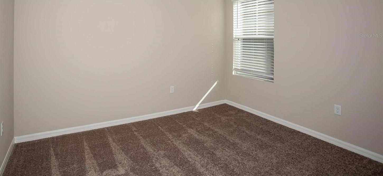 Photo #12