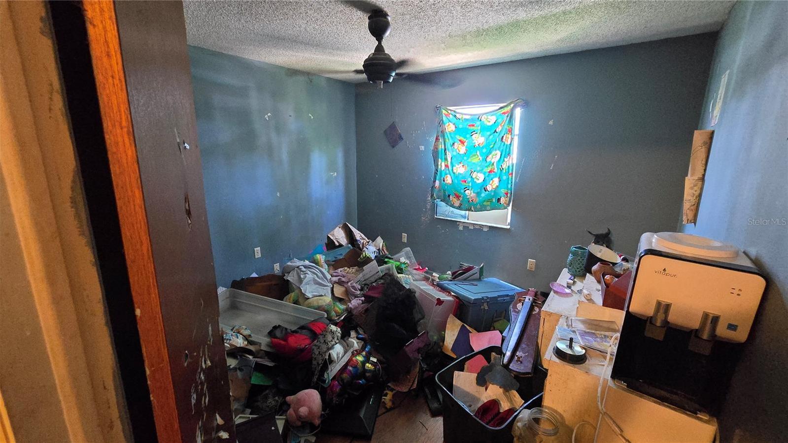 Photo #24