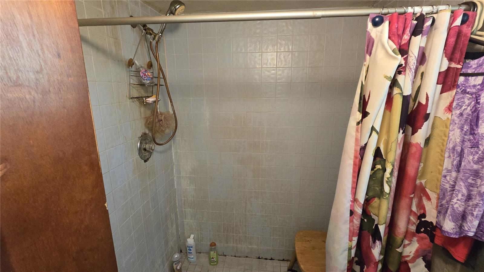 Photo #19