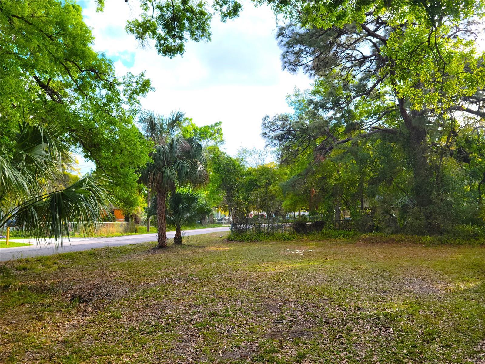 Photo #3