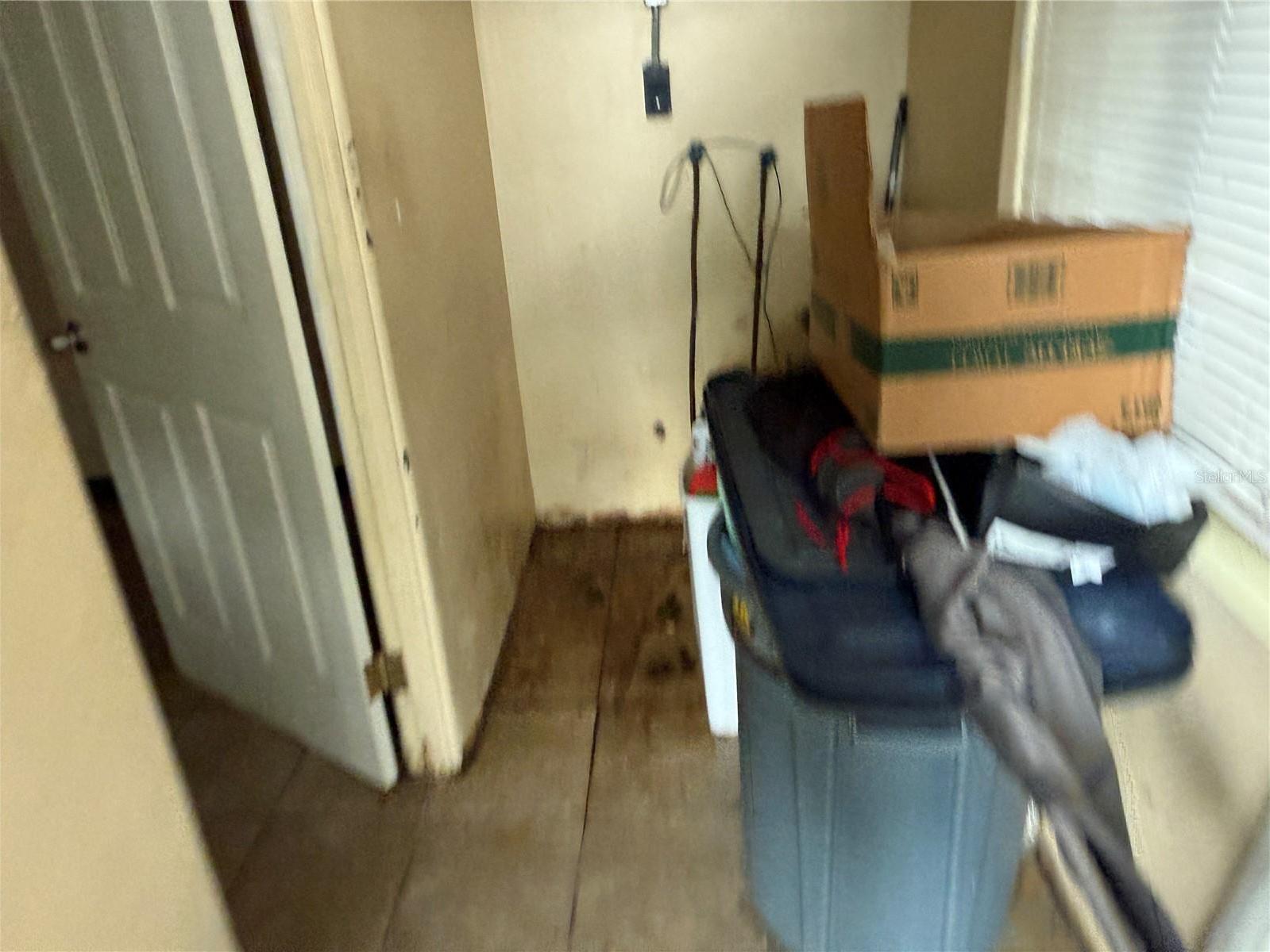 Photo #69