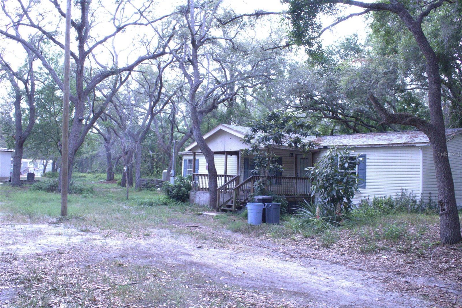 Photo #7