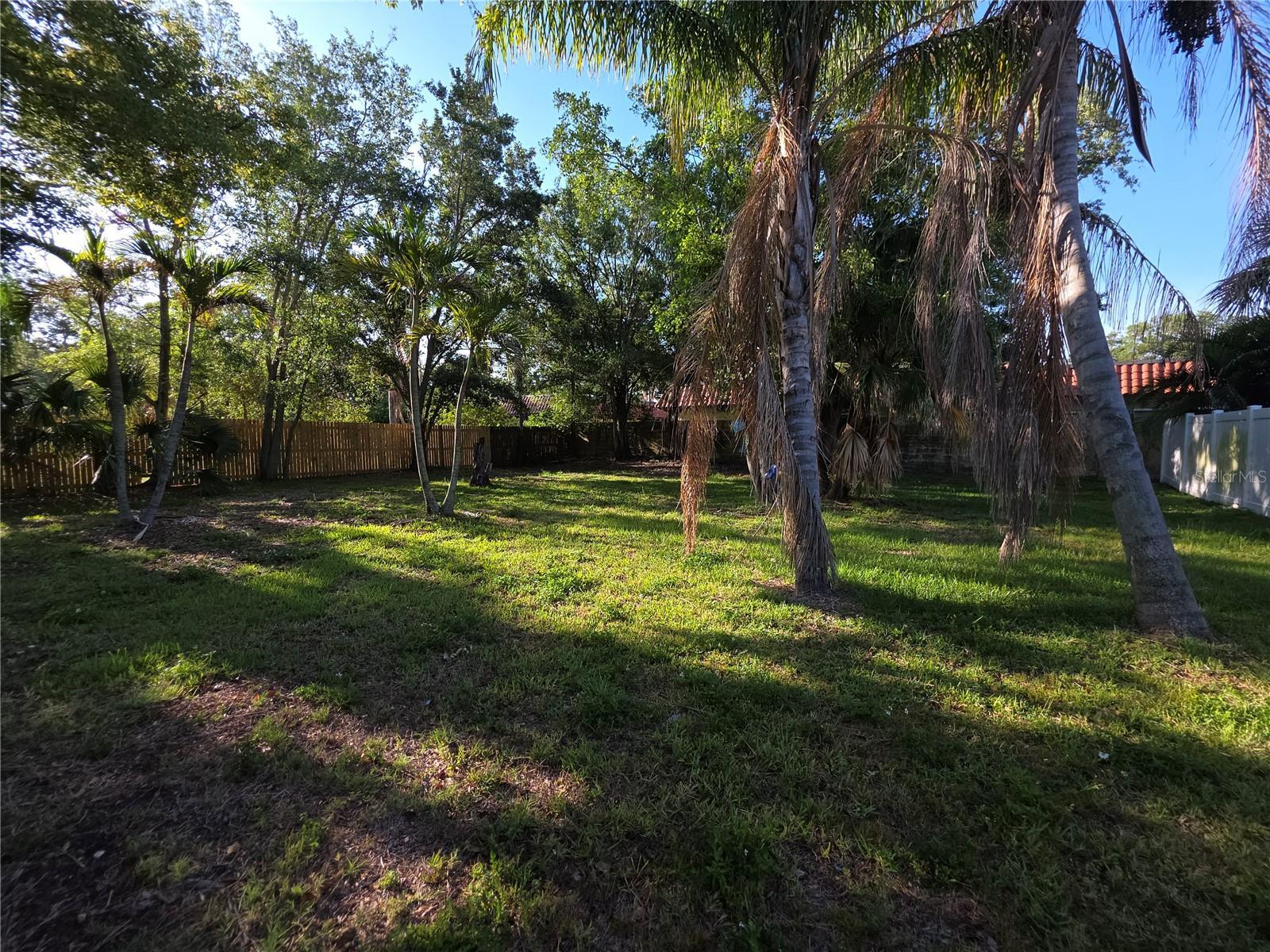 Photo #22