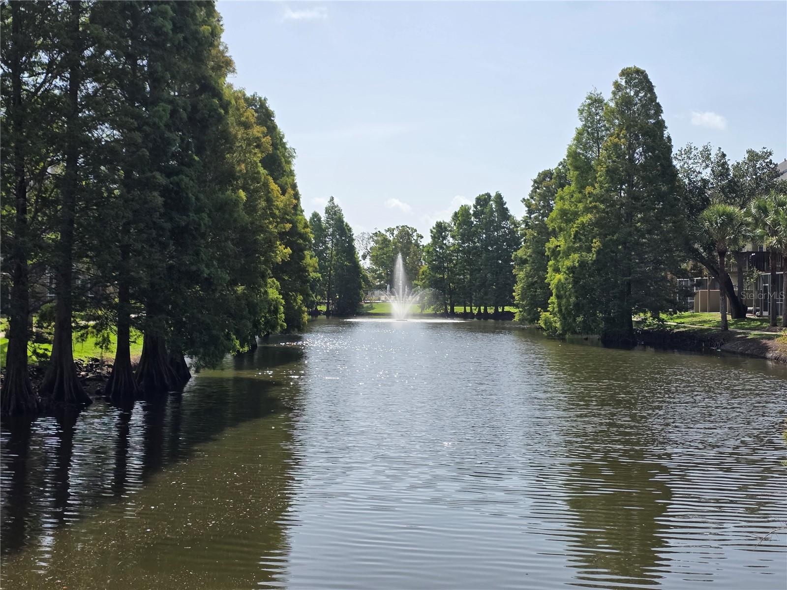 Photo #39