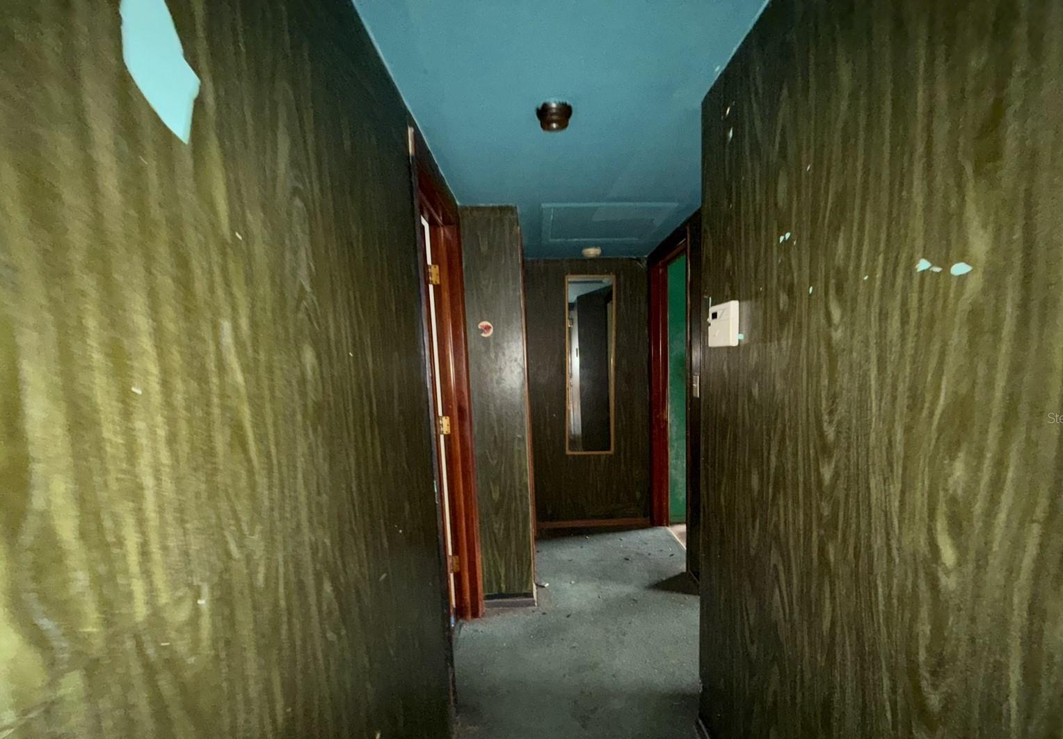 Photo #53