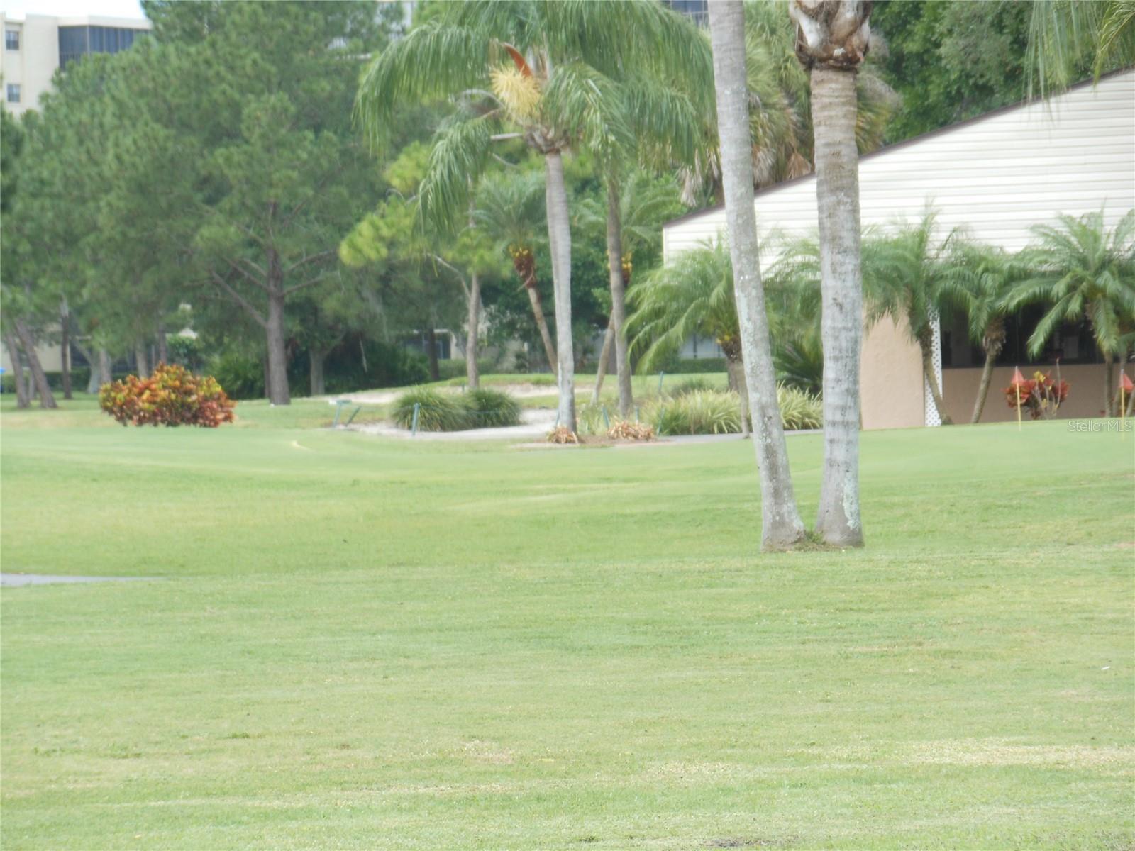 Photo #46