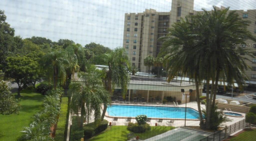 Photo #46