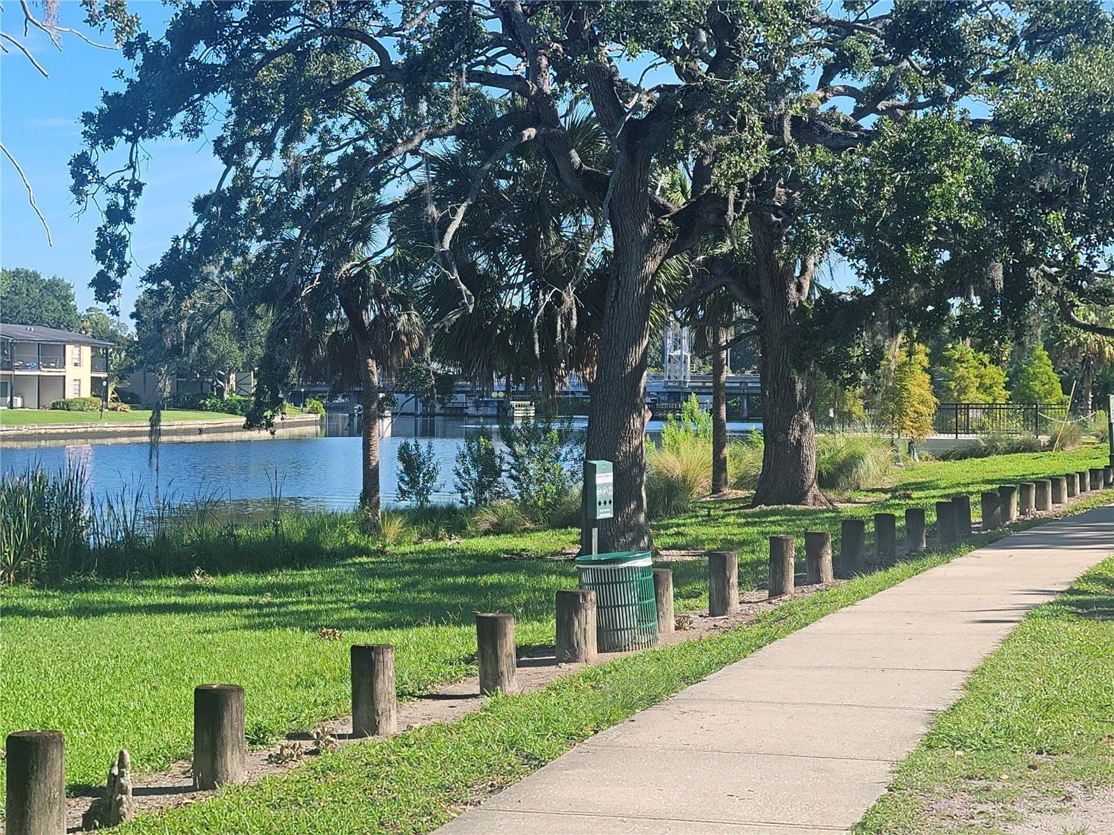 Photo #38