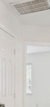 Photo #15