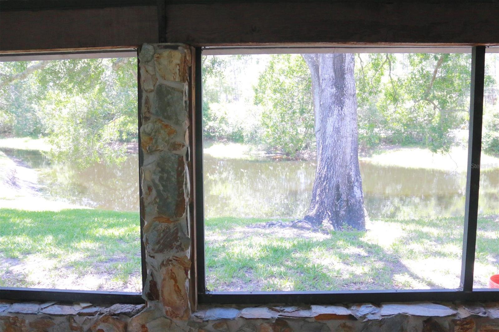 Photo #24