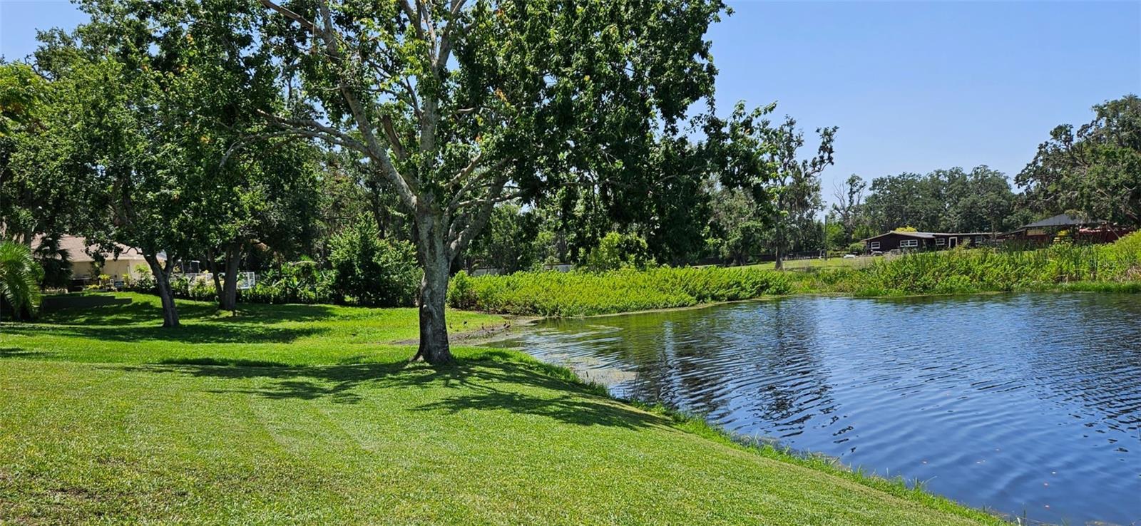 Photo #31
