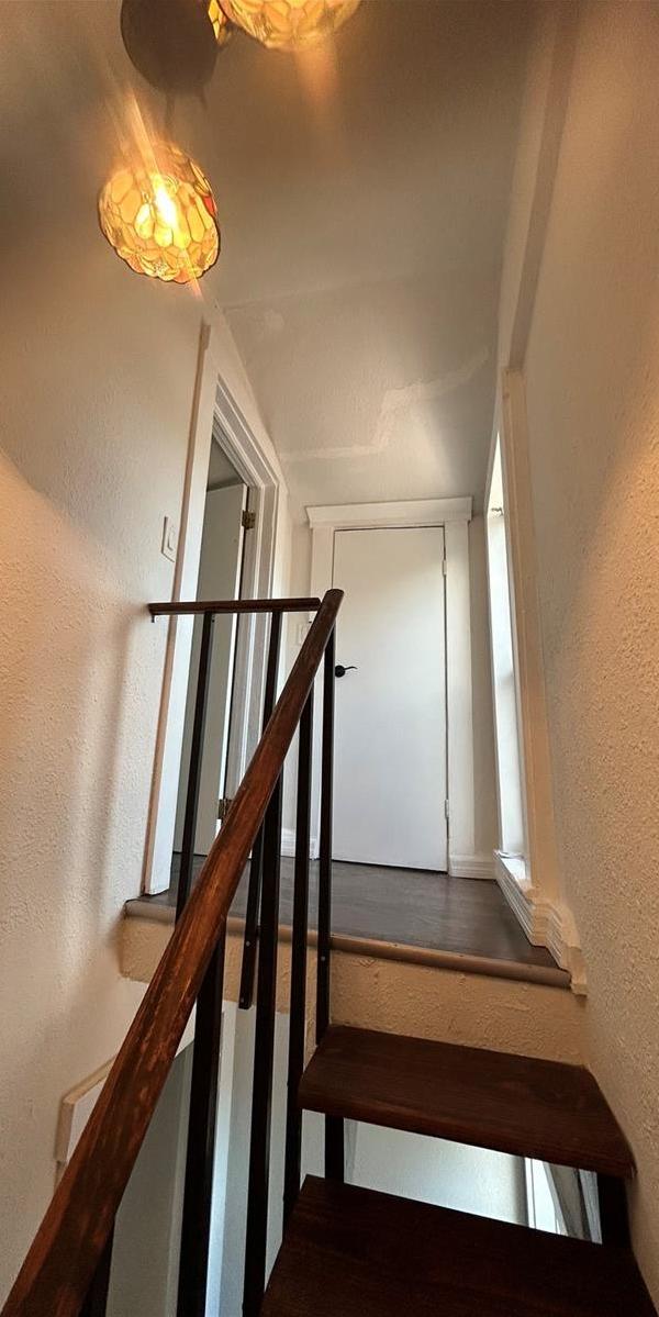 Photo #4