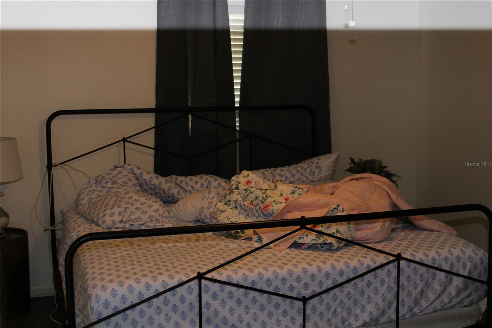 Photo #17