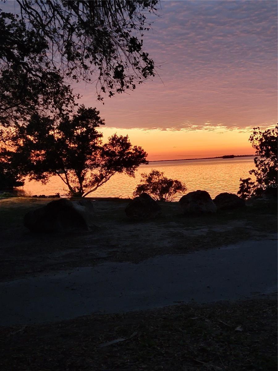 Photo #67