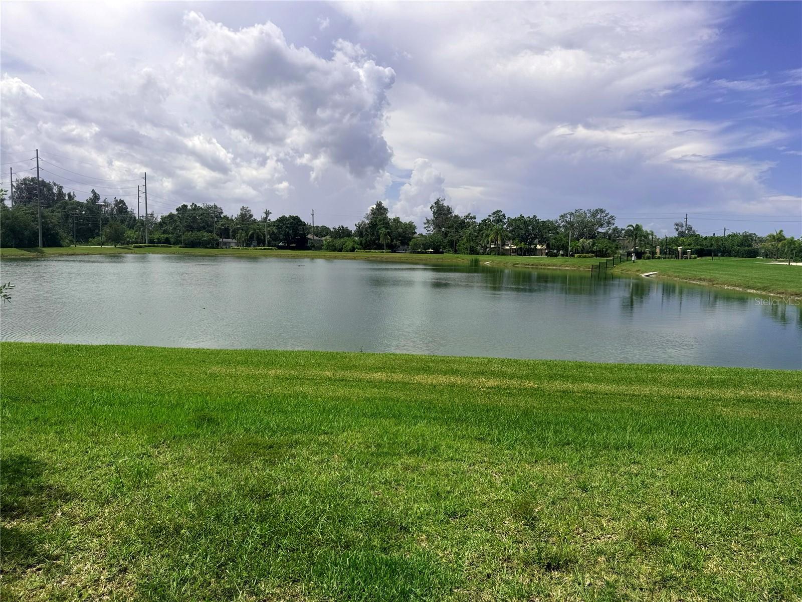 Photo #23