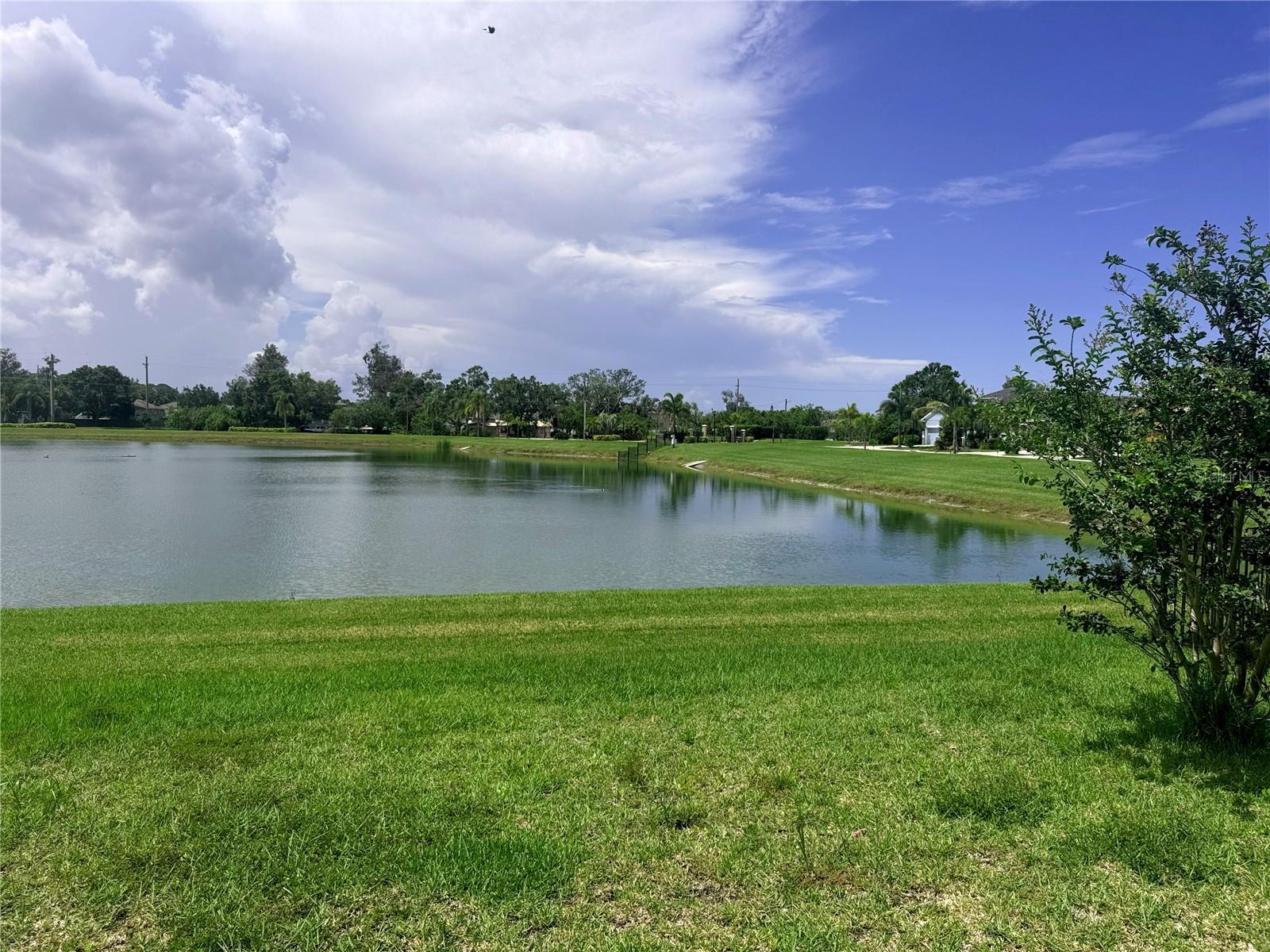 Photo #39
