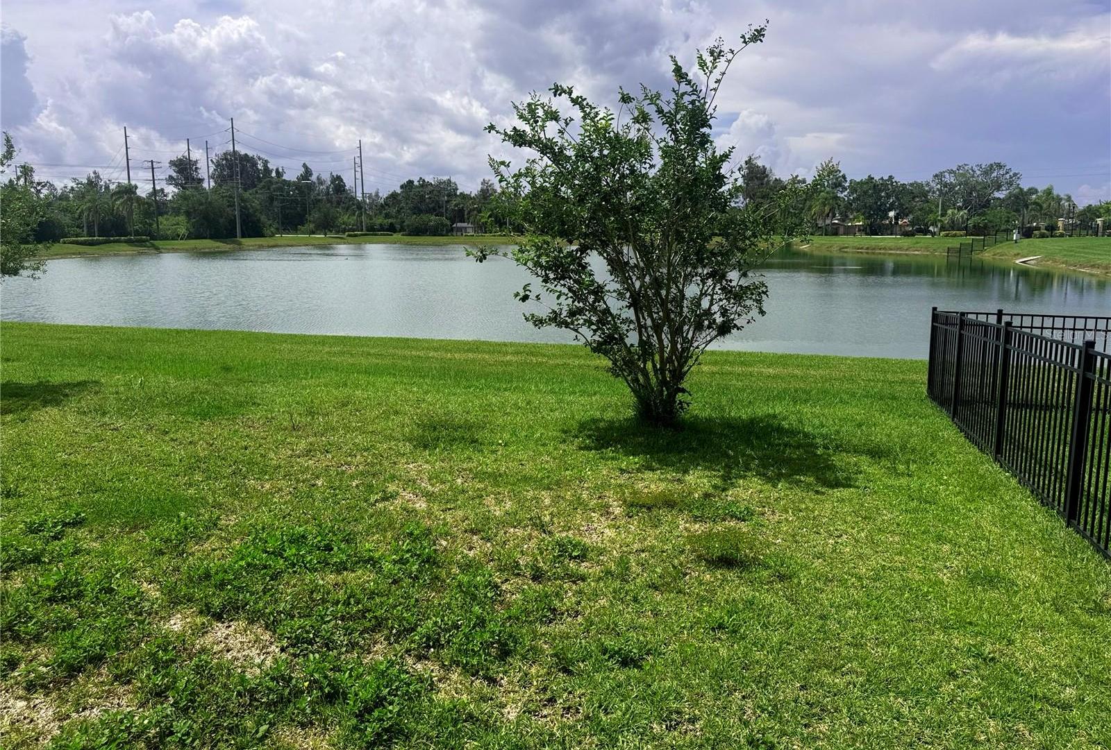 Photo #38